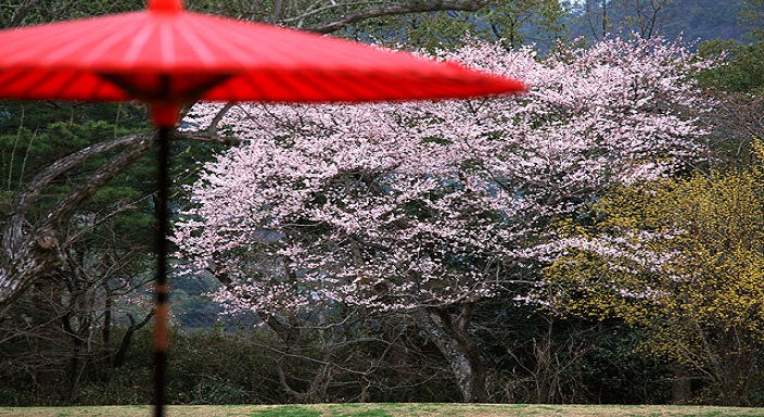 神社
